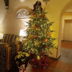 Hotel Botticelli - Bild 26