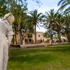 Finca Predio Son Serra Hotel - Bild 5