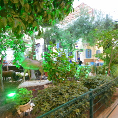 Hotel İstanköy - Bild 16