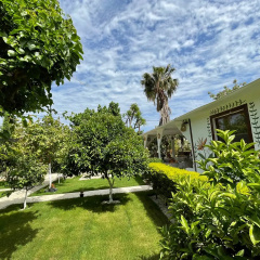 Alican Pension Mini-hotel - Bild 17