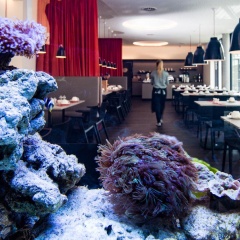 SevenDays BoardingHouse Hotel - Bild 10