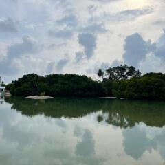 Courtyard Guesthouse Guest House in North Male Atoll, Maldives from 91$, photos, reviews - zenhotels.com photo 6