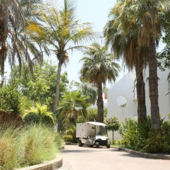 Dubai Marine Beach Resort & Spa Hotel thumbnail 38