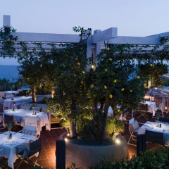 Swissotel Resort Bodrum Beach Hotel thumbnail 30