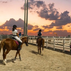 Al Habtoor Polo Resort - Bild 20