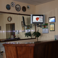 ViP Mini-Hotel
