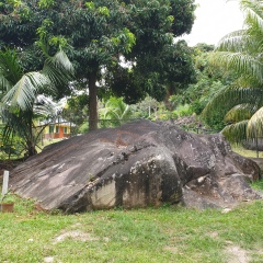 Green Park Guest House in Mahe Island, Seychelles from 243$, photos, reviews - zenhotels.com photo 16