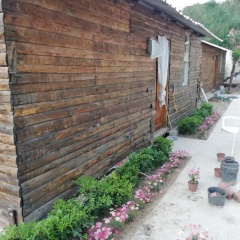 Lime Tree Houses Hotel - Bild 20