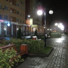 Гостиница Мини-отель Солнечный в Жуковском отзывы, цены и фото номеров - забронировать гостиницу Мини-отель Солнечный онлайн Жуковский фото 7