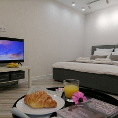 Апартаменты Scandica Home в Йошкар-Оле отзывы, цены и фото номеров - забронировать гостиницу Scandica Home онлайн Йошкар-Ола фото 5