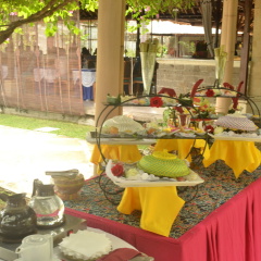 Puri Bagus Lovina Hotel - Bild 29