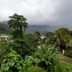 Green Park Guest House in Mahe Island, Seychelles from 243$, photos, reviews - zenhotels.com photo 2