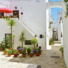 Hotel Paradise Garden Butik Otel - Bild 21