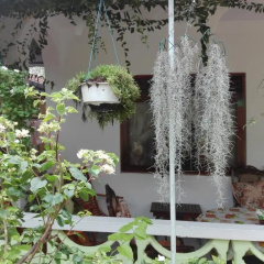 Kind & Love Guest house thumbnail 20