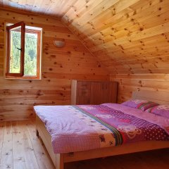 Ethno House Krnic Guest House in Zabljak, Montenegro from 101$, photos, reviews - zenhotels.com photo 4