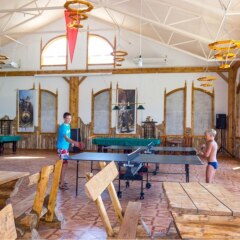 Гостиница Zamok Viking Hotel в Знаменском отзывы, цены и фото номеров - забронировать гостиницу Zamok Viking Hotel онлайн Знаменское