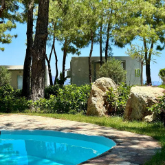 Z-Villas Beach Hotel - Bild 19