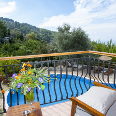 Mandarin Boutique Guest House - Bild 4
