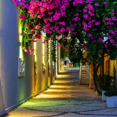 Blue Dreams Resort Hotel - Bild 8