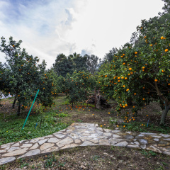 Holiday House dilek çıralı Living quarters - Bild 18
