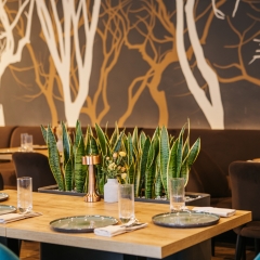 Amber Shore Resort в Балтийске отзывы, цены и фото номеров - забронировать гостиницу Amber Shore Resort онлайн Балтийск фото 21