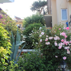 Apart-hotel Tunacan - Bild 5
