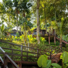 Baan Krating Khaolak - Bild 8