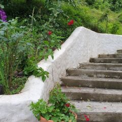 Semya Guest House in Sukhum, Abkhazia from 29$, photos, reviews - zenhotels.com photo 3