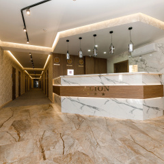 ALION HOTEL photo 2