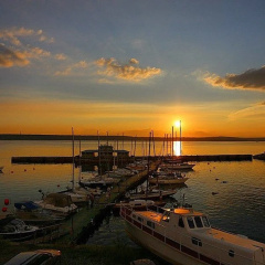 Favorit Hotel photo 4