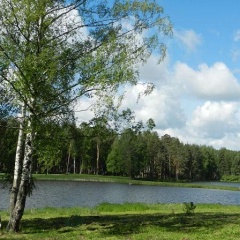 Территория 5