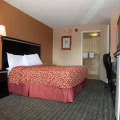Standard Double room full double bed
