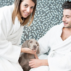 Novotel Roma Eur - Bild 21