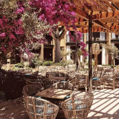 Bikini Island & Mountain Hotel Port de Sóller - Adults Only - Bild 7