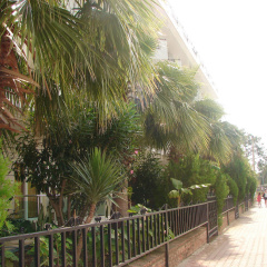 Endam Garden Hotel - Bild 14
