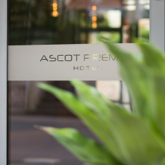 Hotel Ascot Premium - Bild 7