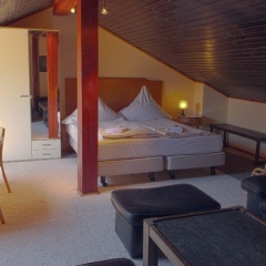 Thai Thuna - Bild 2