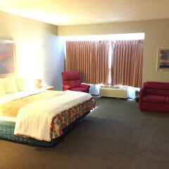 Don Q Inn in Blue Mounds, United States of America from 101$, photos, reviews - zenhotels.com guestroom