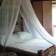Sunset Cove Beach & Dive Resort thumbnail 6