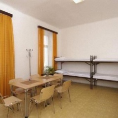 Junior - Bild 9
