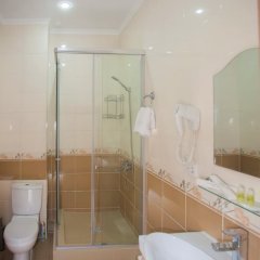 Hotel Zhansaya in Borovoe, Kazakhstan from 99$, photos, reviews - zenhotels.com bathroom