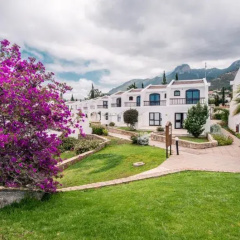 The Olive Tree Hotel thumbnail 1