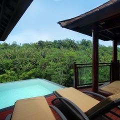 Kupu Kupu Barong Villas & Tree Spa Hotel - Bild 28