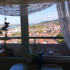 Großes Panorama Apartment - Bild 6