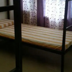 Youth Hostel Chandigarh thumbnail 7