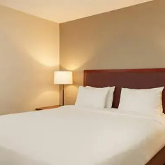 Boardroom Double Suite full double bed