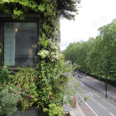 The Athenaeum Hotel & Residences - Bild 24