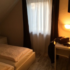 Hotel-Gasthof Grüner Hof - Bild 6