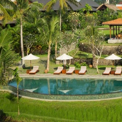 Alaya Resort Ubud Hotel - Bild 23