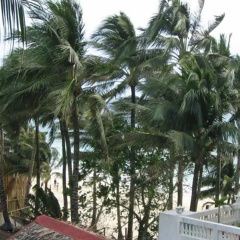 Sunset Cove Beach & Dive Resort thumbnail 1
